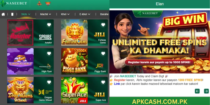 Nasee Bet Game
